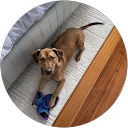 Natalie Appleton profile picture